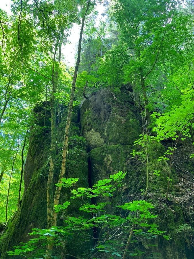 Fewo Hafner "Zuhause Mit Ausblick" Schnaittach Luaran gambar